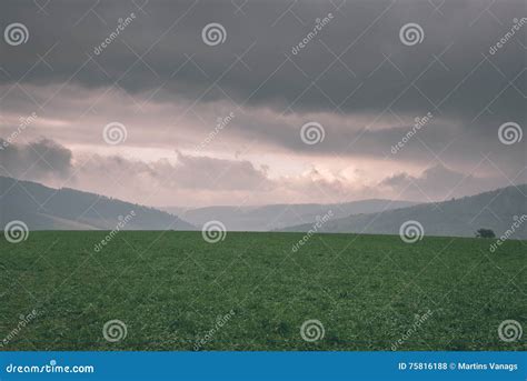 Dark Storm Clouds Over Meadow With Green Grass Vintage Effect Stock