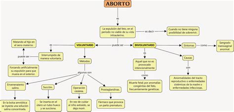 Premedicina Fatima Estl 2015 Aborto Mapa Conceptual