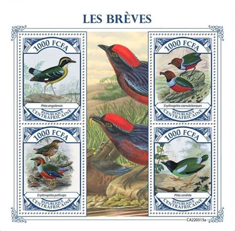 Central Africa 2022 Pitta Birds African Sangihe 4 Stamp Sheet