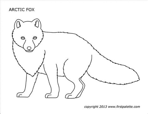 Free Printable Arctic Fox Coloring Pages Aldoilbates