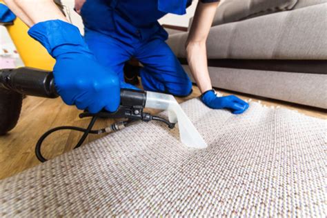 Drying after carpet cleaning requires complete removal of moisture and removal of chemical. How Long Does Coronavirus Stay on Carpets? |🥇 Dublin ...