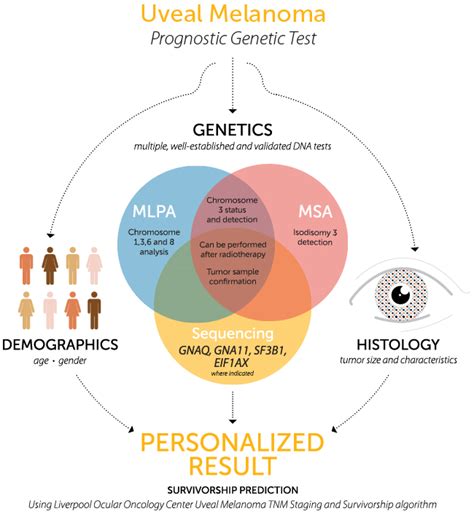 Uveal Melanoma Um Impact Genetics Impact Genetics