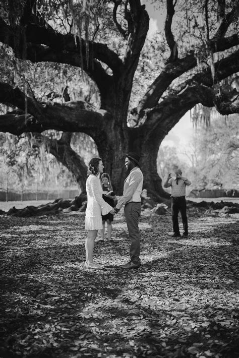 Check spelling or type a new query. Tree of Life in Audubon Park | New orleans elopement ...