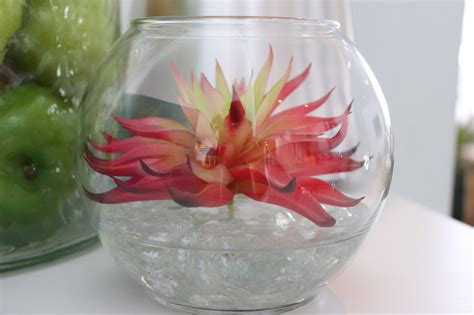Check spelling or type a new query. Vase Resin™ Kit - Vase Resin - Resin for Vases