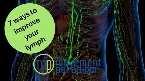 7 Ways To Improve Your Lymphatic System I Beginner Lymph Drainage Youtube
