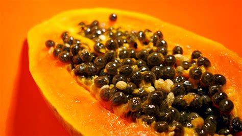 Papaya From Mexico Is Linked To 62 Cases Of Salmonella Consumer Reports