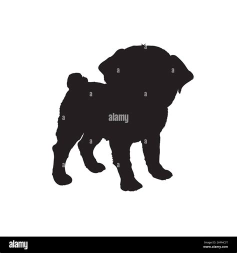 Pug Purebred Dog Vector Silhouette Isolated Stock Vector Image And Art