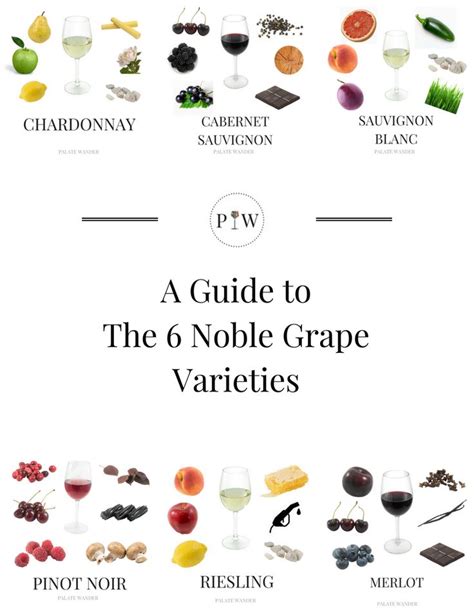 Learn The 6 Noble Grape Varieties In Minutes With These Quick And Easy
