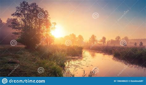 Spring Landscape At Sunrise Stock Photo Image Of Pond Field 136048622