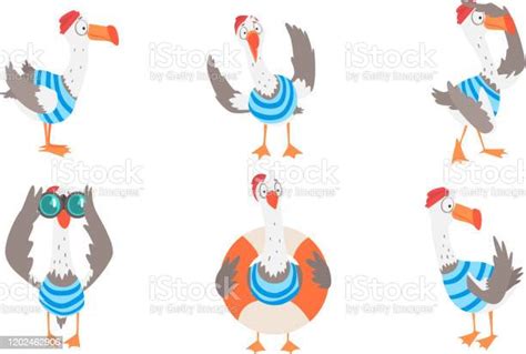 Seagull Sailor Collection Funny Captain Bird Cartoon Character In Various Actions Vector