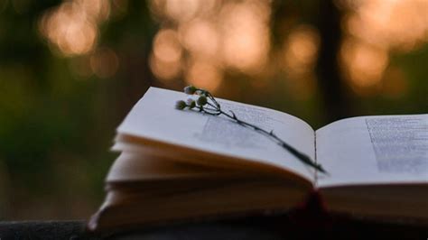 10 Of The Sexiest Poems For Literary Lovers