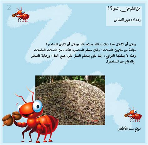 معلومات عن النمل للأطفال