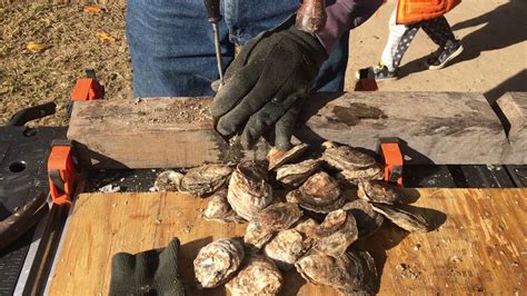 How To Shuck Oysters Fast Youtube