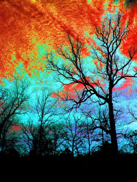 Surreal Sky And Trees Fine Art Photography Landscape