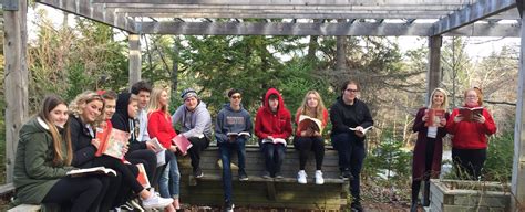 Mhsguidance On Twitter A Great Day To Read Shakespeare Outdoors With