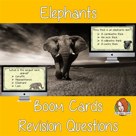 Elephants Revision Questions The Ginger Teacher
