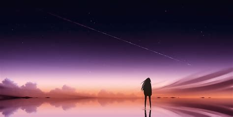 Anime Pink Sky Standing Alone Hd Anime 4k Wallpapers Images Backgrounds Photos And Pictures