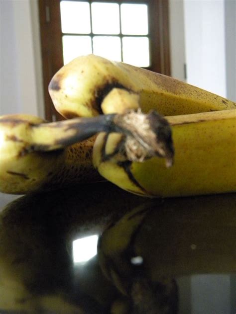 Dont Cry Over Spoiled Bananas Bellevett