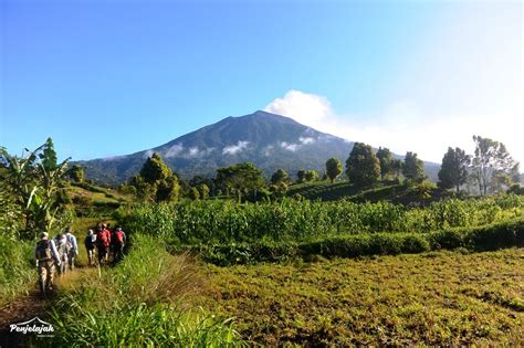 5 Fakta Utama Gunung Kerinci Penjelajah Outdoor Lifestyle