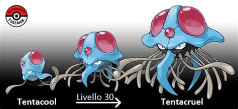 Tentacool Analisi Pokémon Wiki Fandom