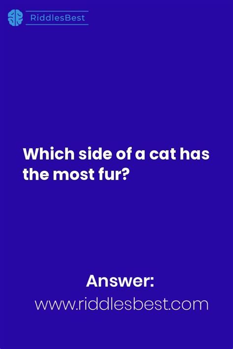 Which Side Of A Cat Has The Most Fur Fun Riddles With Answers
