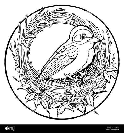 A Bird Sits In A Nest Coloring Page For Kids Stock Vector Image And Art