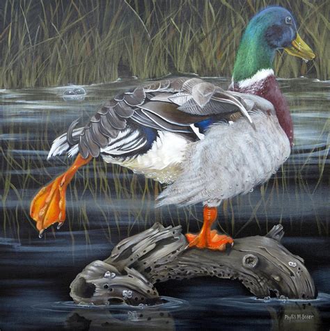 Flying Mallard Duck Paintings