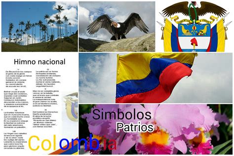 Resultado De Imagen Para Simbolos Patrios De Colombia Simbolos