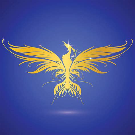 Best Phoenix Bird Rising Illustrations Royalty Free Vector Graphics