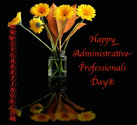 albums 101 background images happy administrative professionals day pictures updated 10 2023