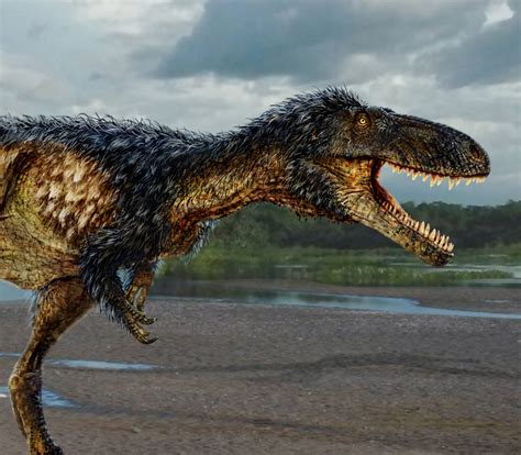 Newly Discovered Dinosaur Reveals How T Rex Became King Of The