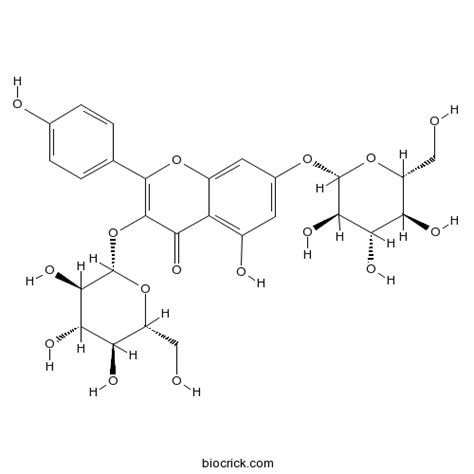 It can be found in smilax china,1 and in the fern asplenium rhizophyllum, and its hybrid descendants, as part of a complex with caffeic acid.2. Kaempferol 3,7-di-O-glucoside | CAS:25615-14-9 | BioCrick
