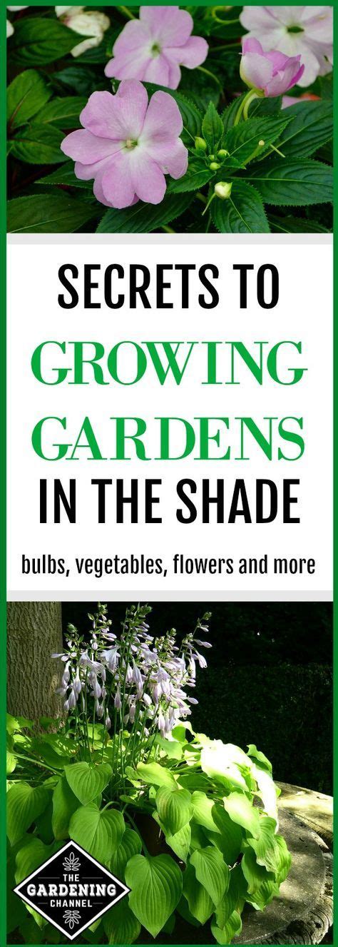 Yes It Is Possible To Grow Gardens In The Shade Learn Which