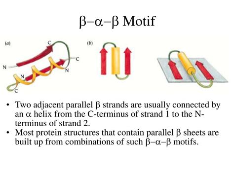 Protein Structural Motifs Cheaper Than Retail Price Buy Clothing