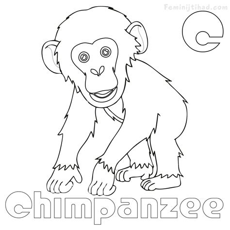 Chimpanzee Coloring Page At Free Printable Colorings