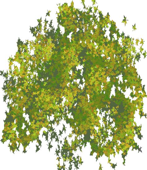 Png Illustrator Top View Trees Free Transparent Png Download Pngkey