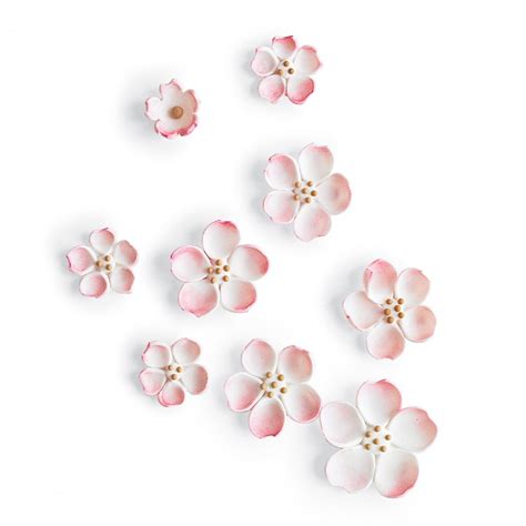 Edible Cherry Blossoms Martha Stewart