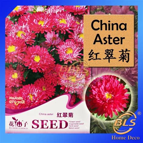 Expired Biji Benih A282 China Aster Flower Goddess Vegetable Flower