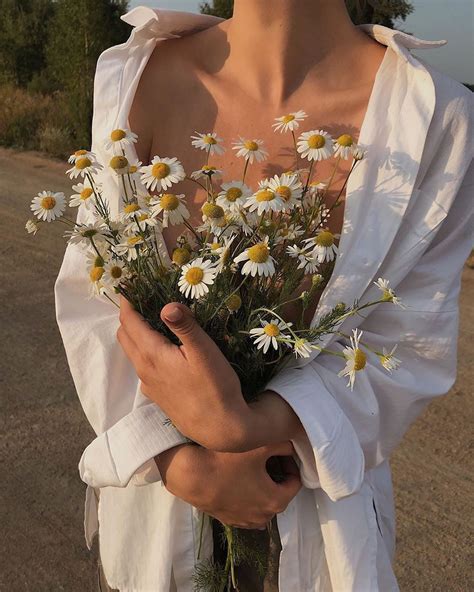 Daisies Aesthetic Pictures Flower Aesthetic Classy Aesthetic