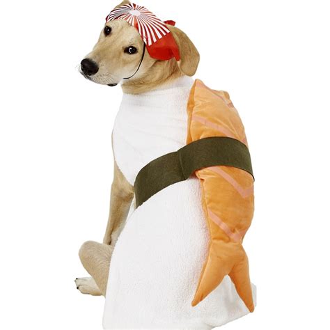 25 Halloween Costumes For Golden Retrievers And Labs Too Hey
