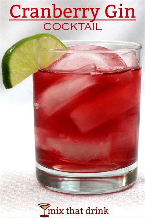 The 25 Best Simple Gin Drinks Ideas On Pinterest Simple