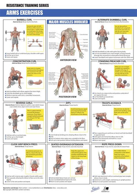 Arms Exercises Exercise Illustration Exercise Chest Workouts