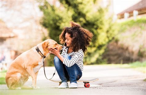 Teaching Children How To Safely Interact With Dogs