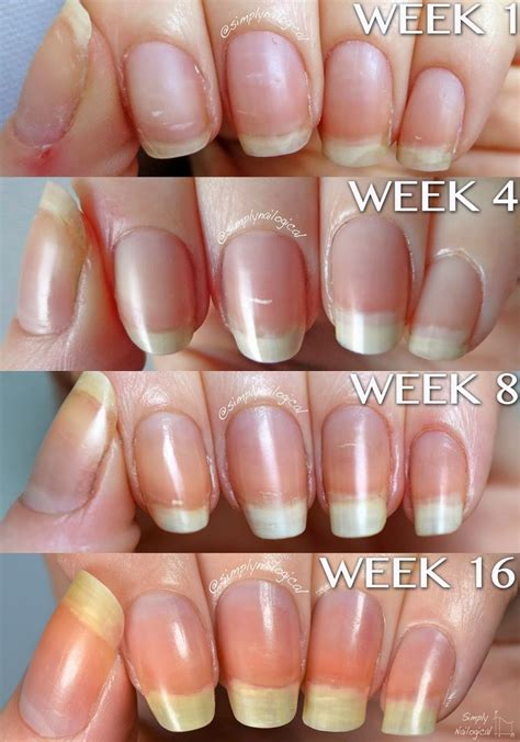 How To Get Longer And Stronger Nails Overnight How To Grow Nails
