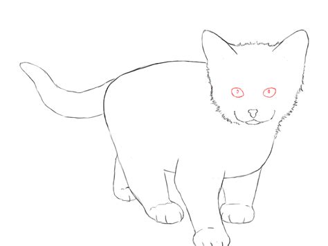 Draw A Kitten And Cat Step By Step Slim Image