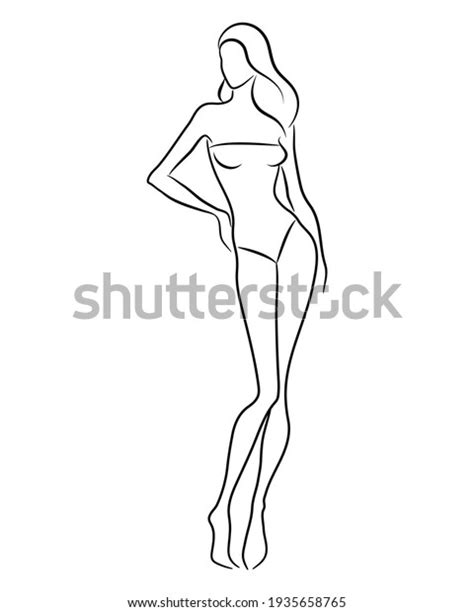 Silhouette Of A Beautiful Nude Woman Vector Illustration Female Body