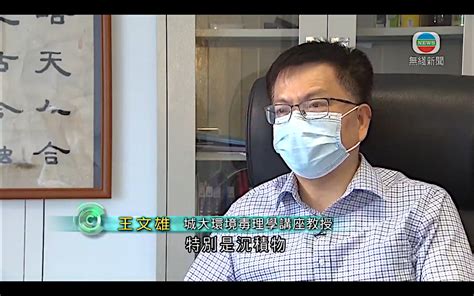 Professor Wen Xiong Wang Was Interviewed By Tvb News School Of Energy