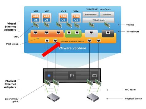 Vlan Network Basic Of Vxrailvsphere Environment Qiita