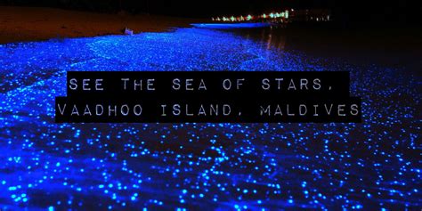 See The Sea Of Stars On Vaadhoo Island In The Maldives Sea Of Stars