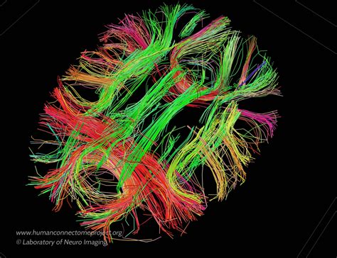 Using Machine Learning To Map The Brain Realclearscience